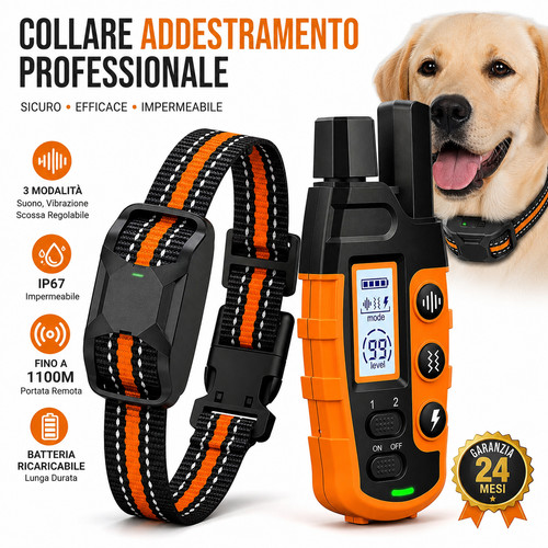 Collare addestramento cani - collare,