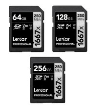Lexar SDXC 1667x 64–256GB – UHS-II Classe 10 V60 Scheda Memoria per Video 4K