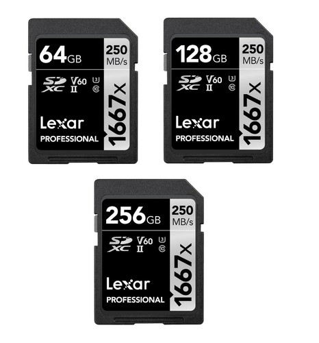 Lexar sdxc 1667x 256gb - sdxc,