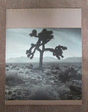 The Joshua Tree: U2 Program