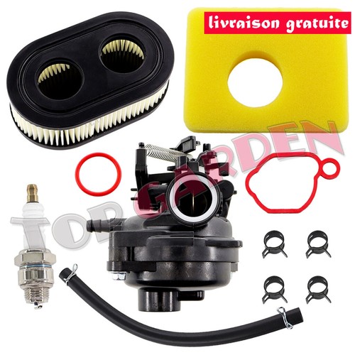 799584 carburateur pour briggs - carburateur,