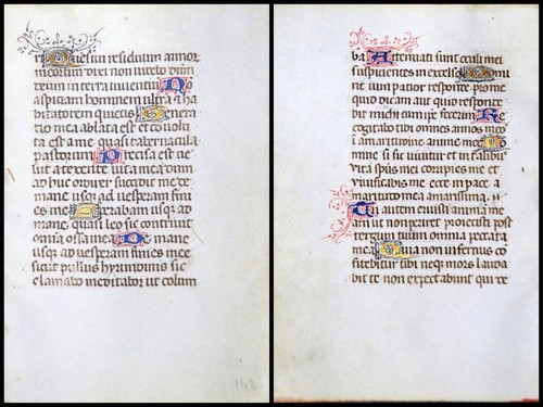 Grafia pergamena foglia - grafia, di