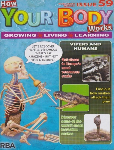 How your body works issue - how,