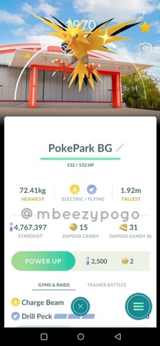 Zapdos lucido con sfondo
