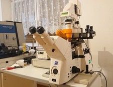 Microscopio Zeiss Axiovert