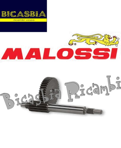 8843 ingranaggi primari - 8843,