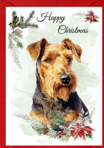 Biglietto natale welsh - biglietto,
