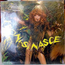 DISCO VINILE 33 GIRI RENATO