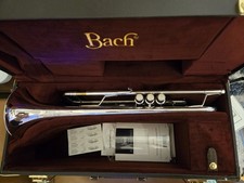 Tromba di Bach GTR-12 argento
