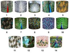 Paralumi In Piume Di Pavone