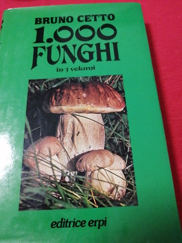 000 funghi vol bruno - 1,
