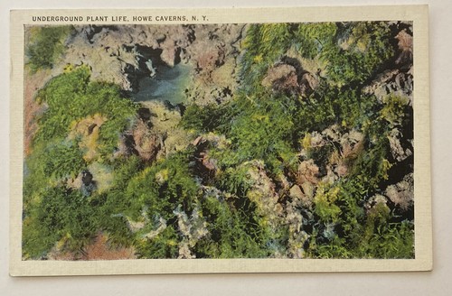 Cartolina epoca vita - cartolina, d'epoca,
