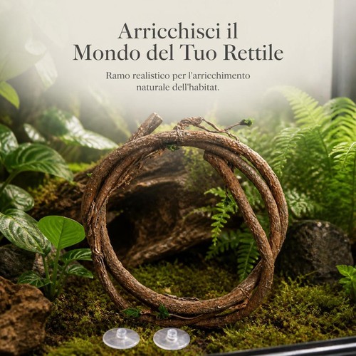 Accessorio terrario rettili - terrario,