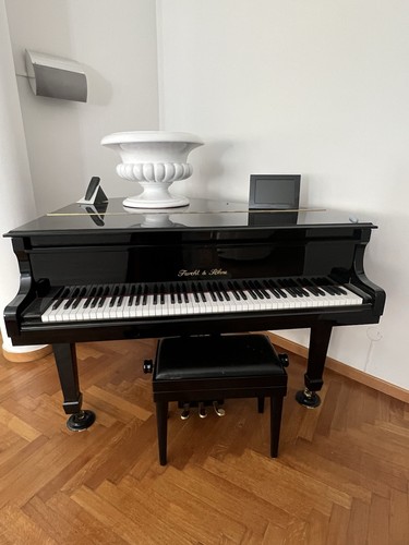 Pianoforte mezza coda - pianoforte, furcht