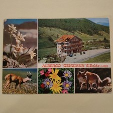 ALBERGO GENZIANA - TOVENA DI CISMON DI VALMARINO  CARTOLINA COLORI NON VIAGGIATA