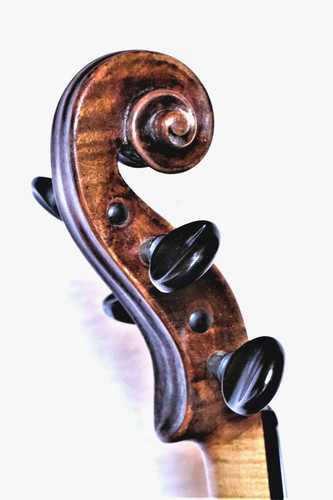 Violino eventualmente