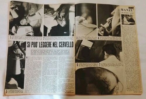 Cervello leggere con - cervello,