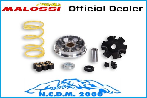 Variatore multivar malossi - variatore,