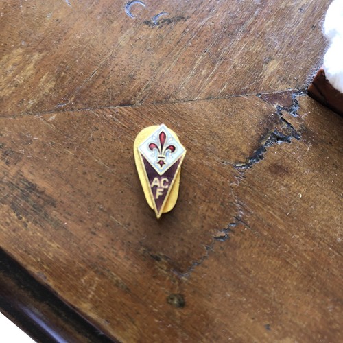 Spilla pins sportiva - spilla, squadra