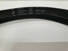 cinghia asciugatrice per