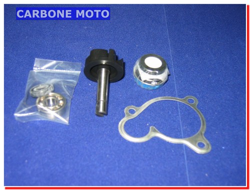 Kit revisione pompa - revisione,
