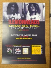 The Lemonheads O2 Ritz