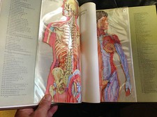 1074 ENCICLOPEDIA BRITANNICA