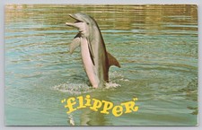 Cartolina d'epoca 1973 Flipper