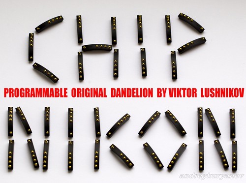 Nikon chip tarassaco con