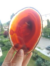 Minerali  ** GRANDE SEZIONE DI AGATA NATURALE  #0805#