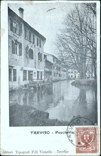 Cz236 cartolina treviso - treviso, citta'