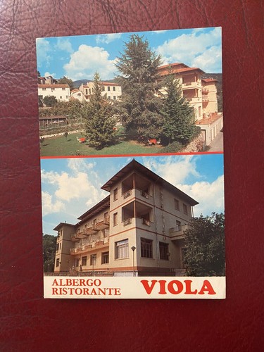 Cartolina hotel viola - cartolina,