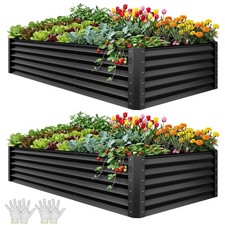 Grow More Verdure Tutto l'anno