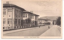 Levico  ( TN )  Viale Generale