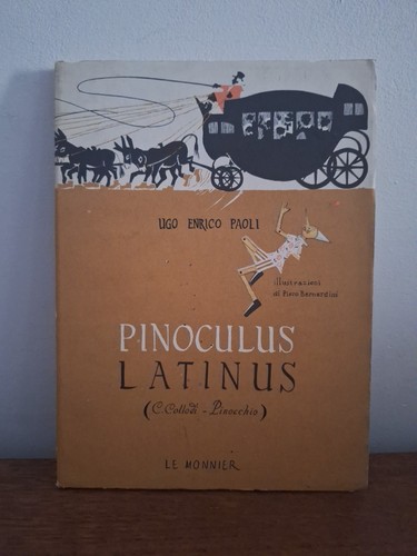 Pinoculus latinus pinocchio - latinus,