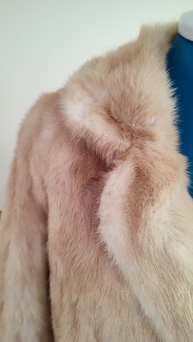 Bellissimo cappotto giacca - bellissimo, cappotto/giacca