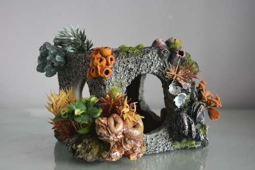 Acquario dettagliato cubo - acquario,