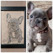 Quadri personalizzati animali