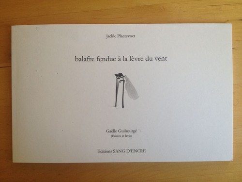 Balafre fendue lèvre du - balafre, à