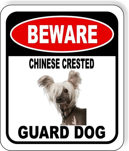 Attenzione cane guardia - attenzione,