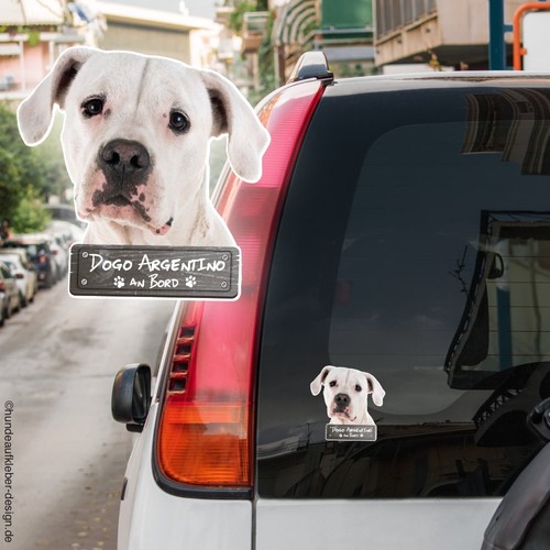Adesivo auto dogo argentino - adesivo,