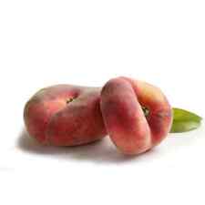 Pianta di Pesca Nettarina Platicarpa (polpa bianca) in vaso da 20 cm