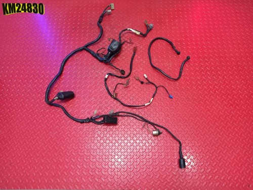 Impianto elettrico yamaha - impianto, tdm