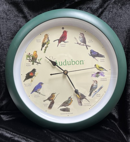 Audubon society singing - singing, bird