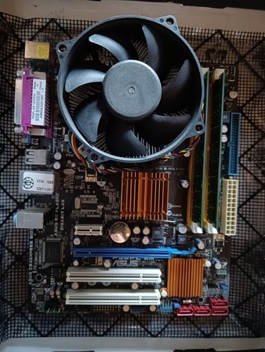 Scheda madre asus - madre,