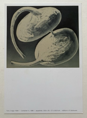 Tony cragg carton d - -,