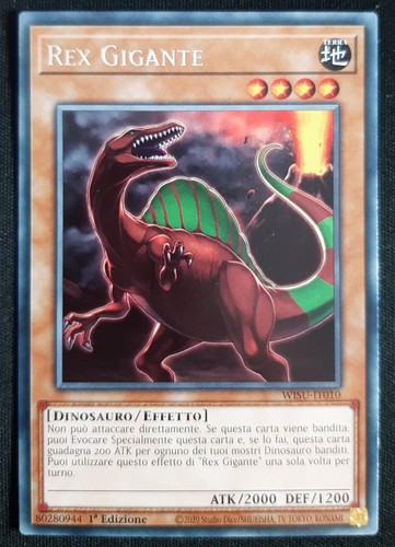 Rex gigante rara - gigante,