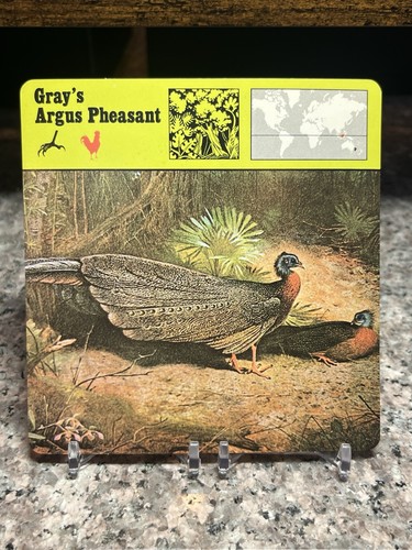Gray argus fagiano 1977 - gray's,