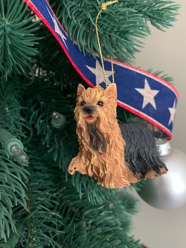 Adorable yorkshire terrier - yorkshire,