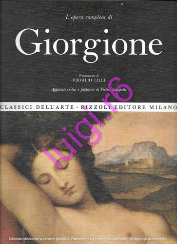 Opera completa giorgione - l'opera,